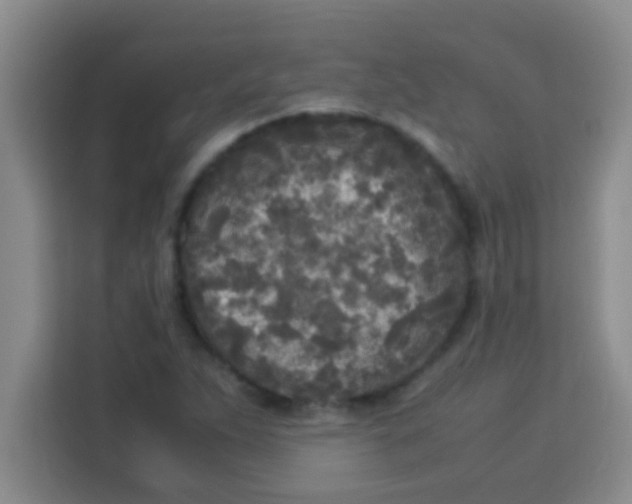 X0000113291263200910051053