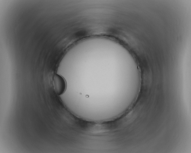 X0000113291265200910051053