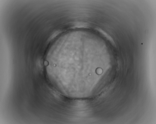 X0000113291266200910051053