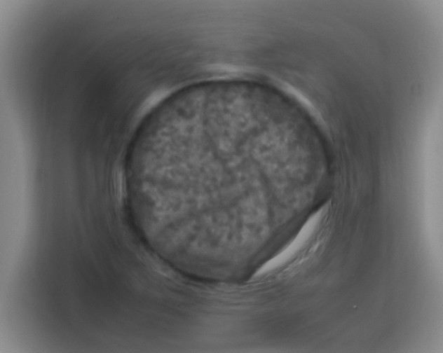 X0000113291267200910051053