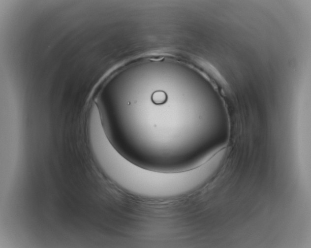 X0000113291268200910051053