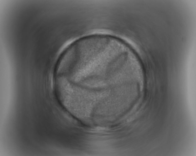 X0000113291271200910051053