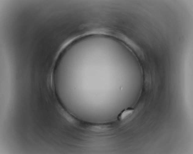 X0000113291272200910051053