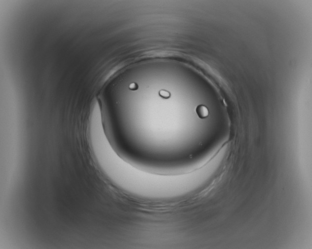 X0000113291273200910051053