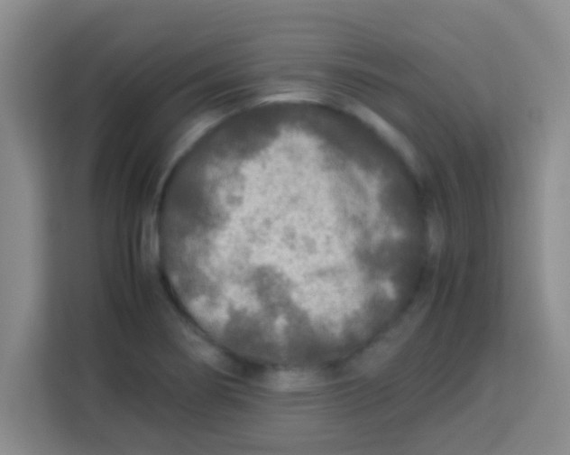 X0000113291274200910051053