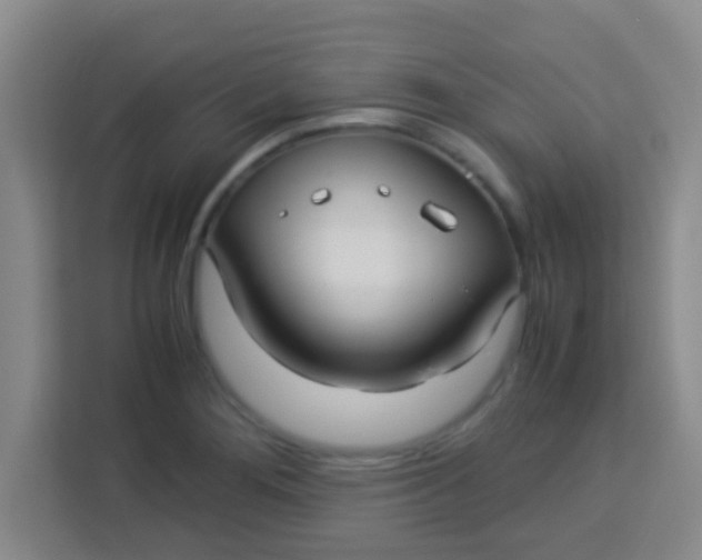 X0000113291276200910051053