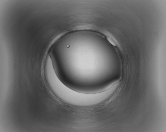 X0000113291277200910051053