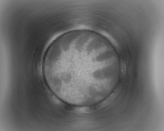 X0000113291278200910051053