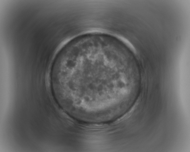 X0000113291279200910051053