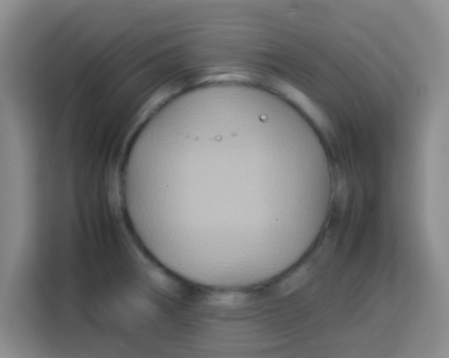 X0000113291282200910051053