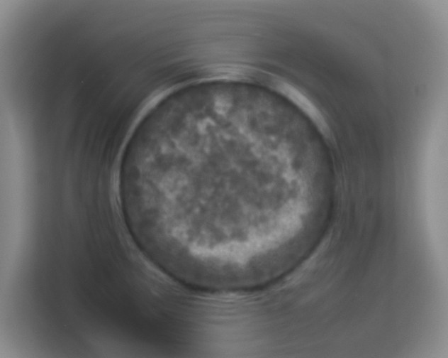 X0000113291283200910051053