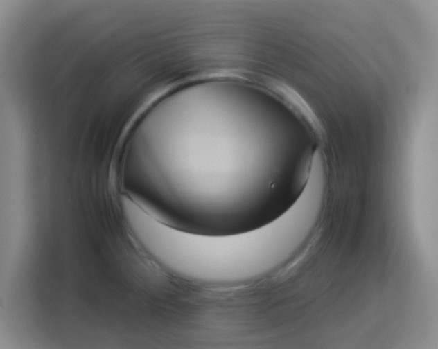 X0000113291284200910051053