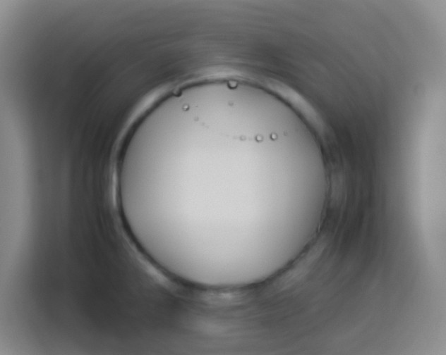 X0000113291286200910051053