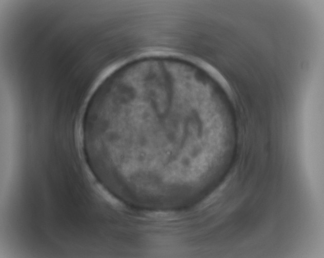 X0000113291287200910051053