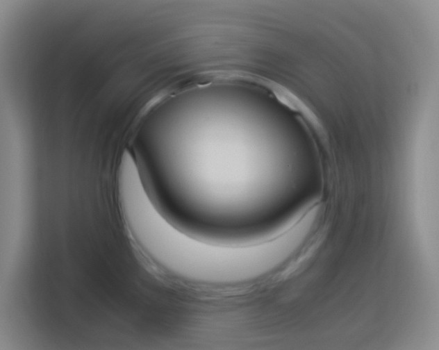 X0000113291289200910051053