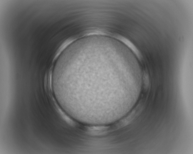 X0000113291290200910051053