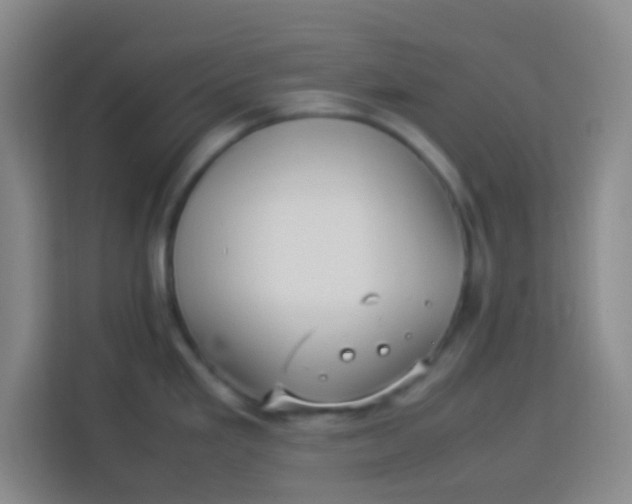 X0000113291293200910051053