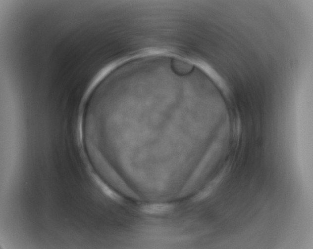 X0000113291294200910051053