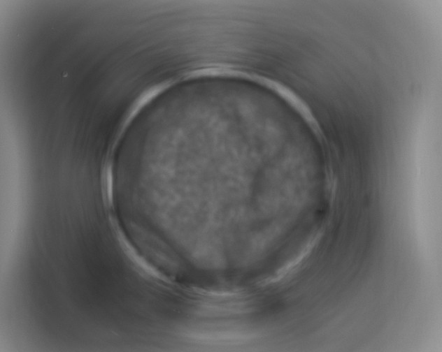 X0000113291295200910051053