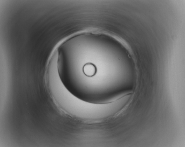 X0000113291296200910051053