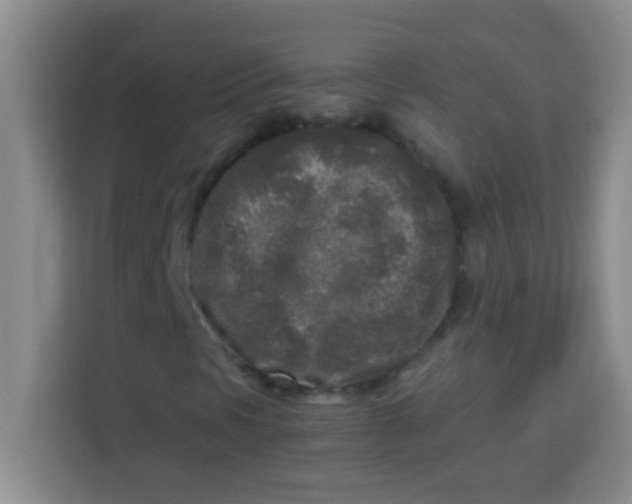 X0000113291297200910051052