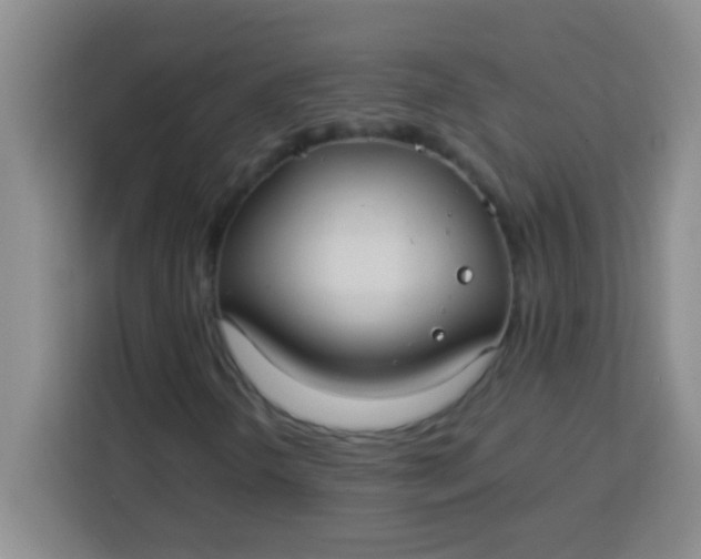 X0000113291298200910051052