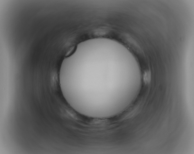 X0000113291299200910051052