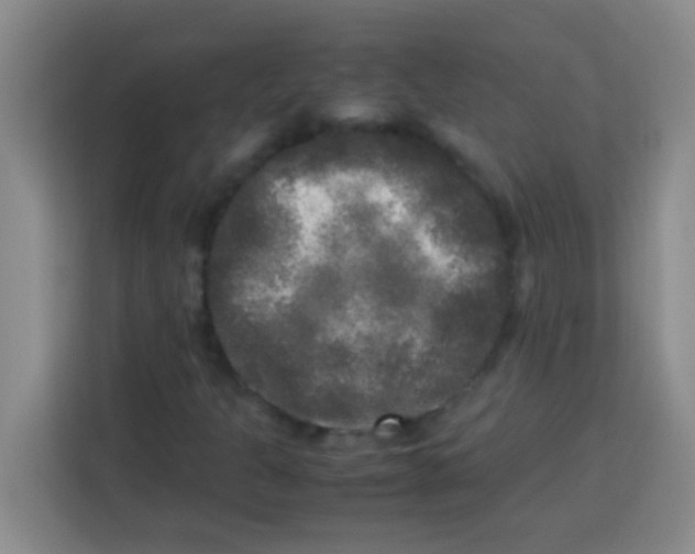 X0000113291301200910051052