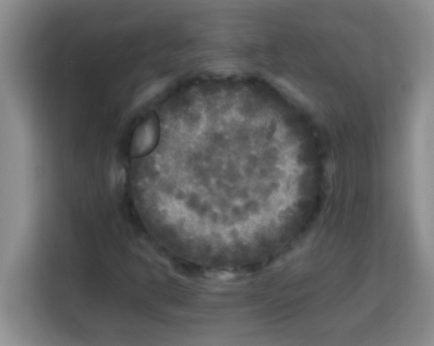 X0000113291302200910051052