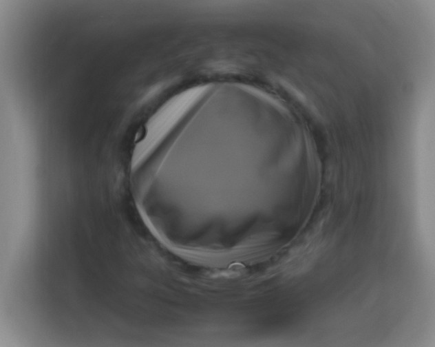 X0000113291303200910051052