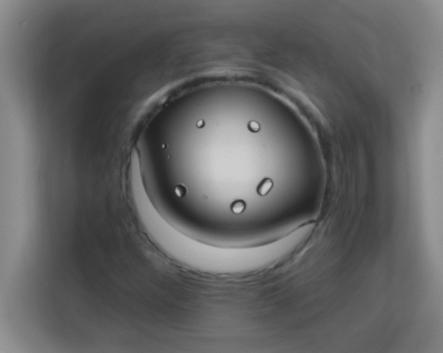 X0000113291304200910051052