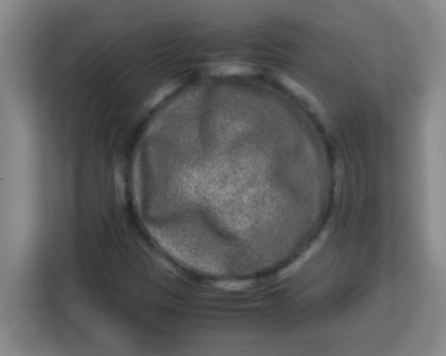 X0000113291305200910051052