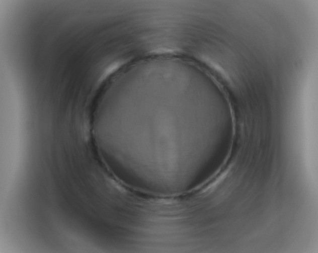 X0000113291306200910051052