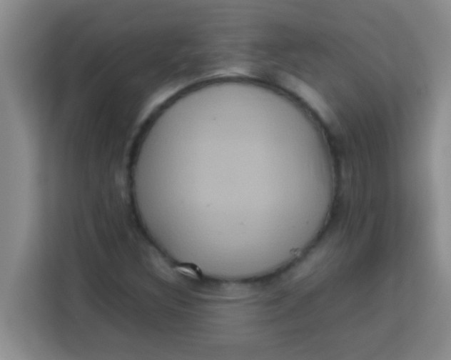 X0000113291308200910051052