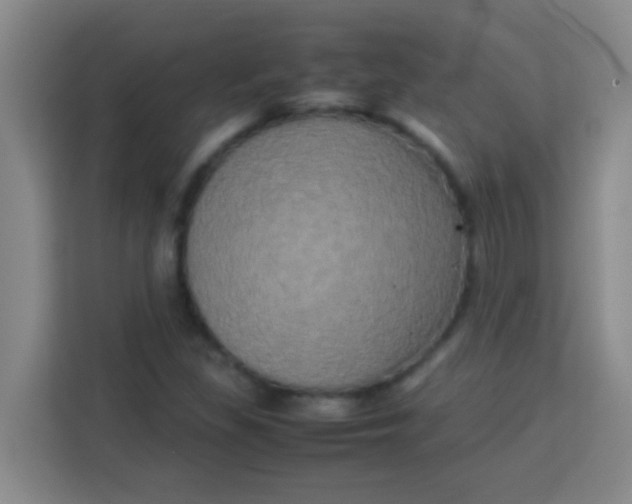 X0000113291309200910051052