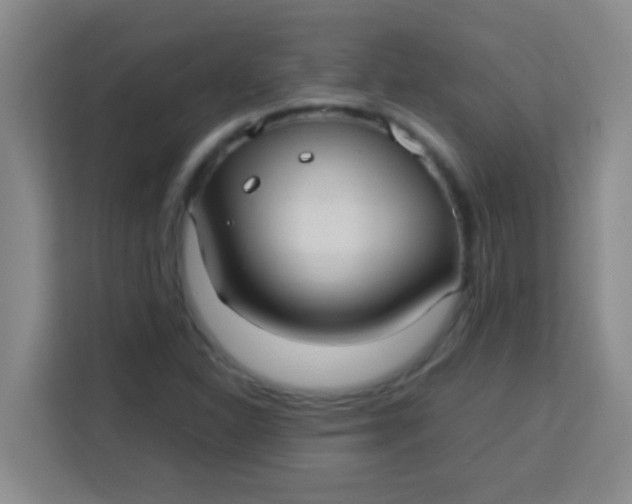 X0000113291310200910051052