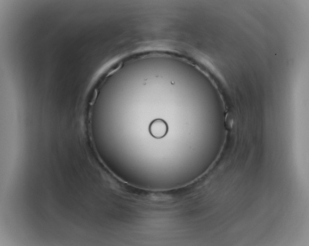 X0000113291312200910051052