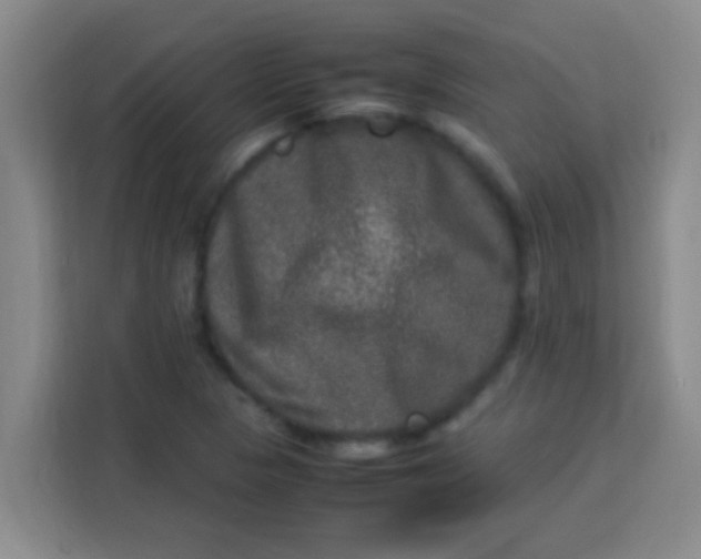 X0000113291313200910051052