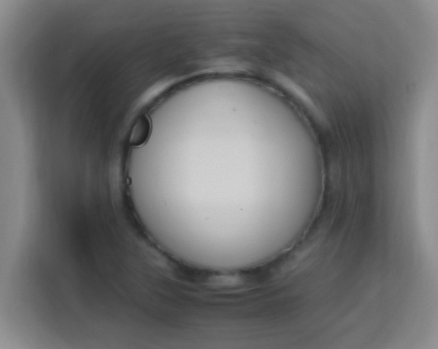 X0000113291315200910051052