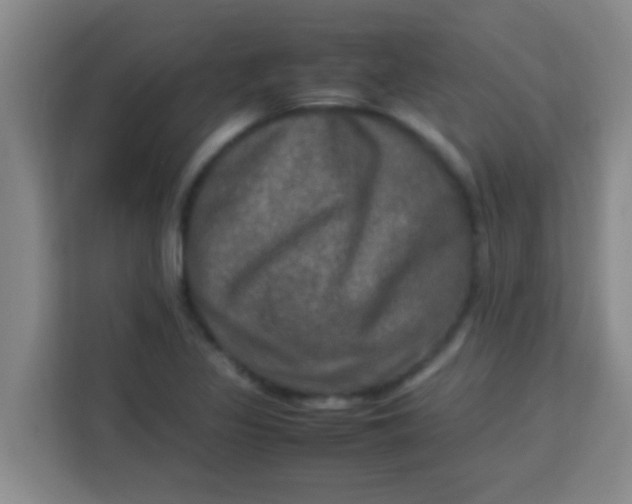 X0000113291317200910051053