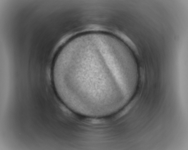 X0000113291318200910051053