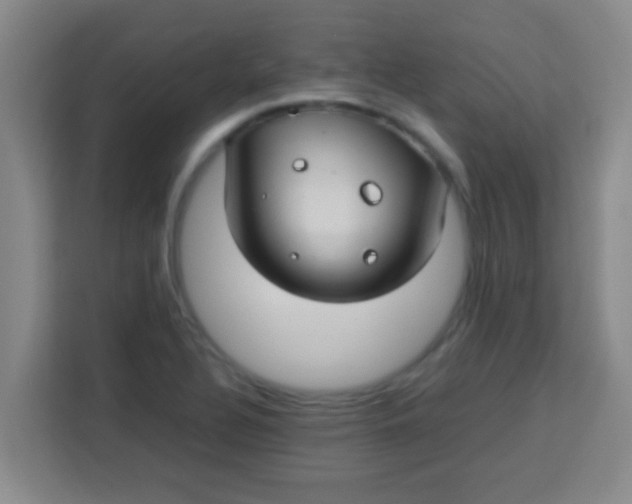 X0000113291320200910051053