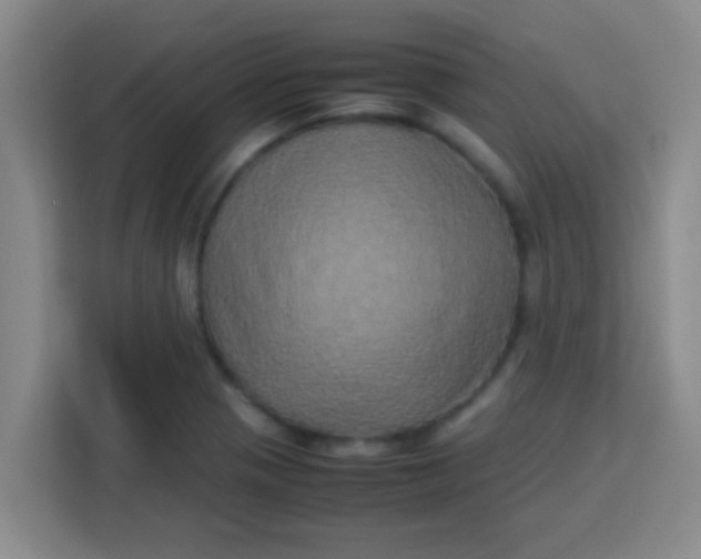 X0000113291321200910051053