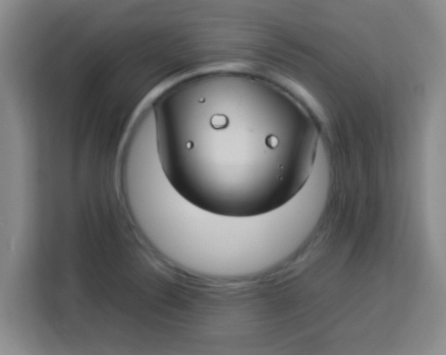 X0000113291324200910051053