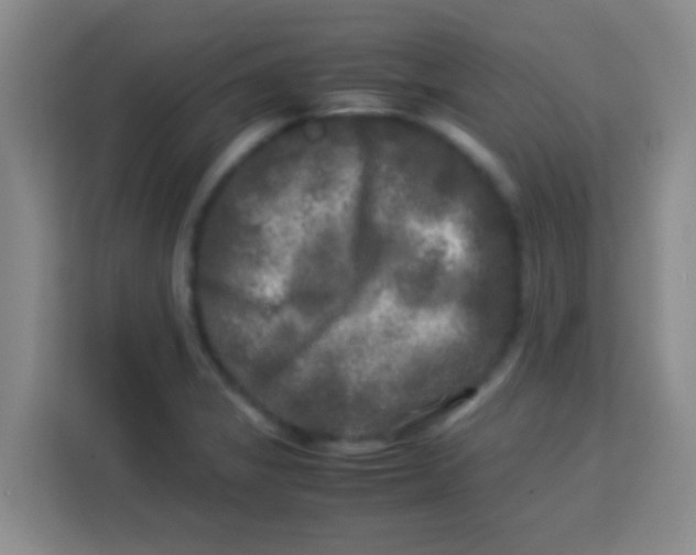 X0000113291325200910051053