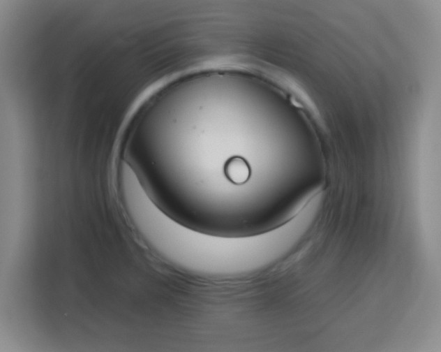 X0000113291328200910051053