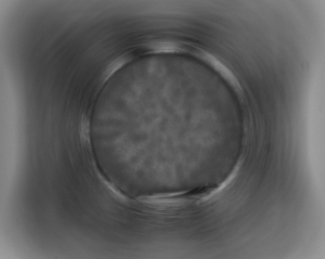 X0000113291329200910051053