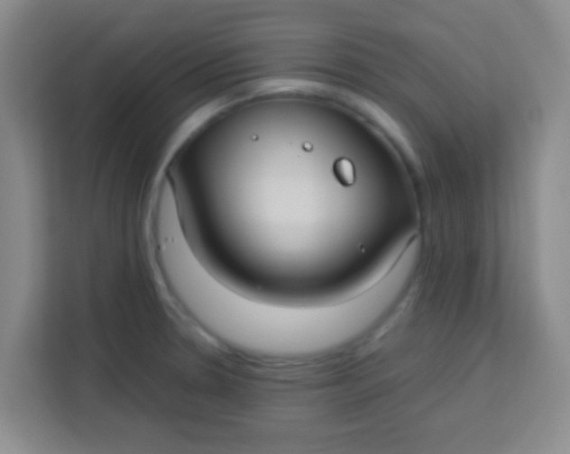 X0000113291330200910051053