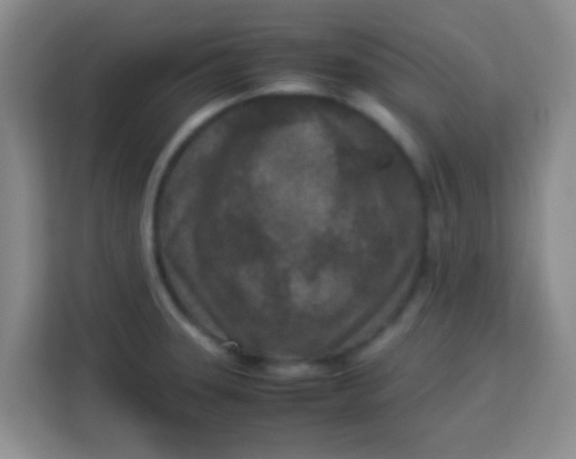 X0000113291331200910051053