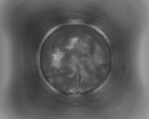 X0000113291333200910051053